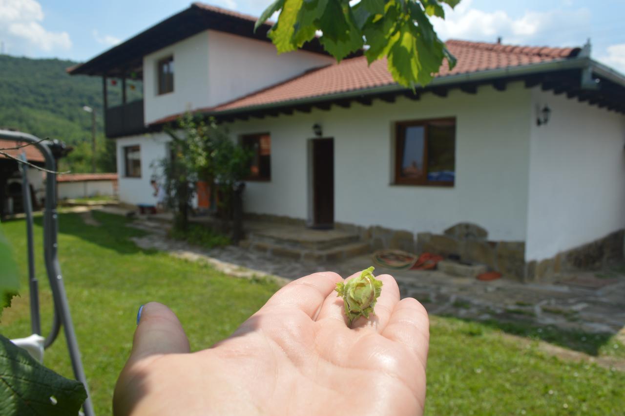 Guest House Yana Tŭrkasheni 외부 사진