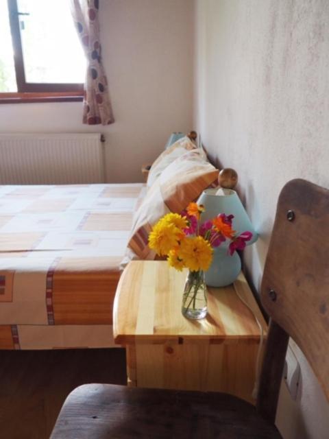 Guest House Yana Tŭrkasheni 외부 사진