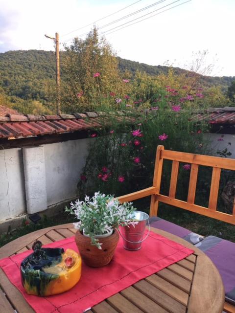 Guest House Yana Tŭrkasheni 외부 사진